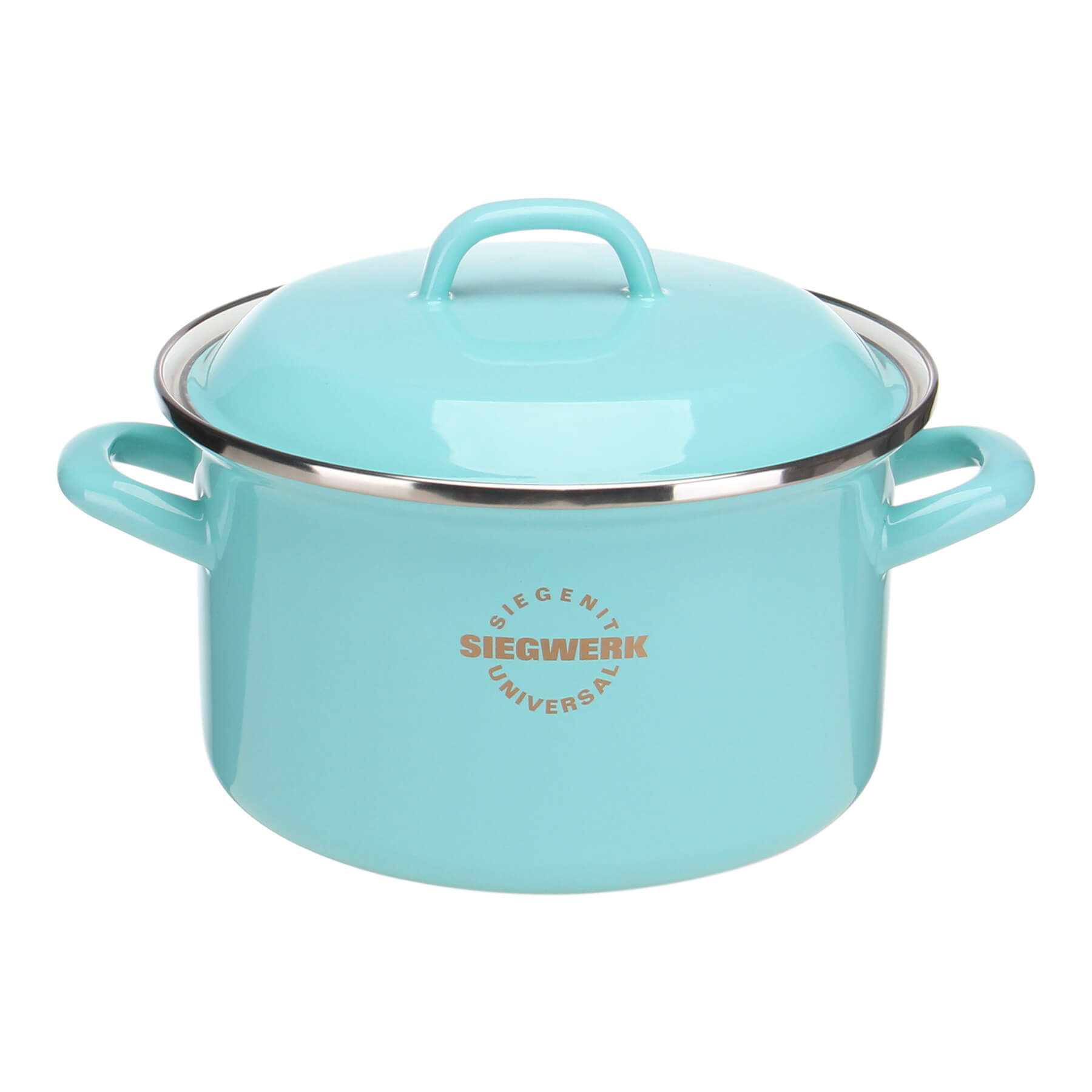 Siegwerk Kochtopf aus Emaille 22 cm in mint